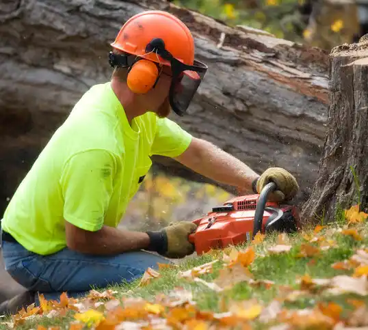 tree services Lake Winnebago